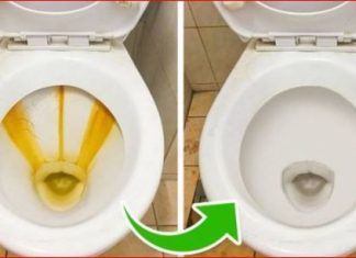 Odličan KUĆNI TRIK za uklanjanje žutih mrlja i kamenca u toaletu bez hemikalija: Testirano, djeluje odmah!