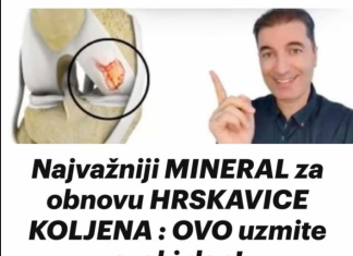 Najvažniji MINERAL za obnovu HRSKAVICE K0LJENA : OVO uzmite svaki dan!