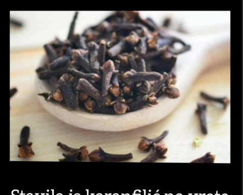 STAVILA JE KARANFILIĆ NA VRATA U KUĆI: PREKO NOĆI SE RIJEŠILA PROBLEMA KOJI JE PRISUTAN KOD MNOGIH!