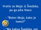 VIC DANA: Vratio se Mujo iz Švedske