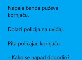 Vic dana: Banda puževa