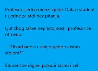 VIC DANA: Profesor sjedi u menzi i jede…