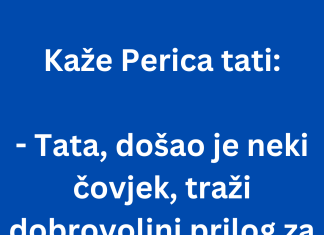 VIC DANA: Prilog za bazen