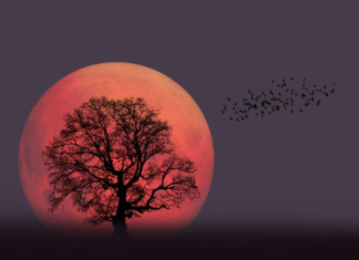 Crveni pun Mesec stiže i nema milosti prema njima: Ova 4 znaka čeka emocionalni URAGAN – sve što ste ćutali sada izlazi na površinu