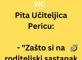 VIC DANA: Učiteljica i Perica