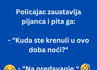 VIC DANA: Policajac i pijanac