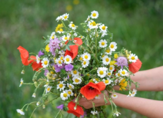 Sutra je VIDOVDAN – praznik koji otvara oči: Ujutru obavezno obratite pažnju na ovo, jer se smatra da Bog svakom od nas šalje poruku