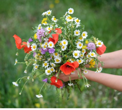 Sutra je VIDOVDAN – praznik koji otvara oči: Ujutru obavezno obratite pažnju na ovo, jer se smatra da Bog svakom od nas šalje poruku