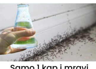 Sa samo jednom kapljicom, možete učiniti da mravi trenutno nestanu – nevjerojatno učinkovit trik za vaš dom!