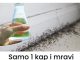 Sa samo jednom kapljicom, možete učiniti da mravi trenutno nestanu – nevjerojatno učinkovit trik za vaš dom!