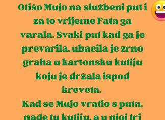 VIC DANA: Fata i grah