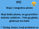 VIC DANA: Mujo i nezgodno pismo