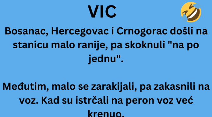 VIC DANA: Bosanac, Hercegovac i Crnogorac na stanici