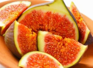 Doktori u ŠOKU: Ova voćka liječi skoro sve – evo zašto su SMOKVE spas za vaš organizam!