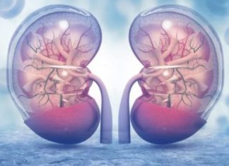 6 UPOZORENJA TIJELA DA SU VAM BUBREZI U PROBLEMU – broj 5 niko ne povezuje s njima!