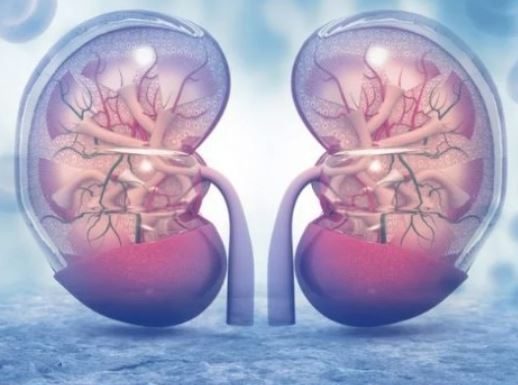 6 UPOZORENJA TIJELA DA SU VAM BUBREZI U PROBLEMU – broj 5 niko ne povezuje s njima!