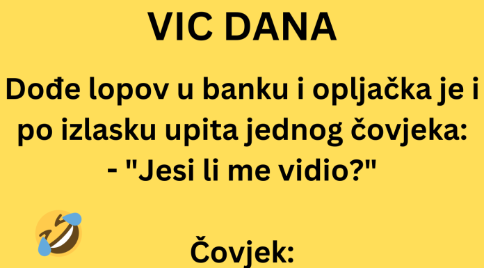 VIC DANA: Dođe lopov u banku