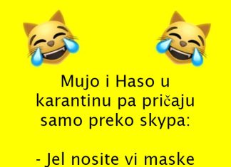 VIC DANA: Mujo i Haso u karantinu