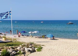 “Smrde kao lavovi, ni more nije više kao što je bilo”: Srpske turiste iznenadili nezvani gosti na plaži u Grčkoj "Smrde kao lavovi, ni more nije više kao što je bilo": Srpske turiste iznenadili nezvani gosti na plaži u Grčkoj - featured image