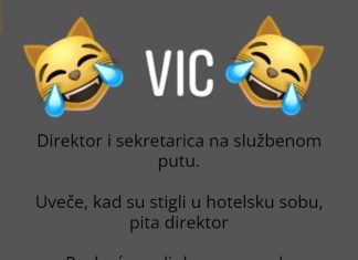 Vic dana: Sekretarica i direktor