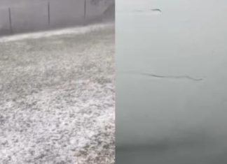 KATASTROFALNO NEVREME RAZARA SRBIJU! Grad veličine oraha padao BEZ PRESTANKA – vozači zaustavljali auta usred puta! (VIDEO)