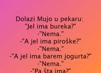 VIC DANA: Nema šta nema