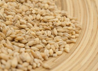 PODMLAĐUJE i hrani: OVA žitarica s KOLAGEN0M jača KOSTI i čuva crijeva — jedite je ŠTO češće! 0va žitarica prepuna je K0LAGENA: P0DMLAĐUJE, jača K0STI i čuva crijeva, jedite je ŠT0 češće M0ŽETE - featured image