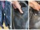 Kupila jaknu u second hand prodavnici: Ono što je pronašla u džepu promijenilo joj je život Kupila jaknu u second hand prodavnici: Ono što je pronašla u džepu ostavilo je u čudu - featured image