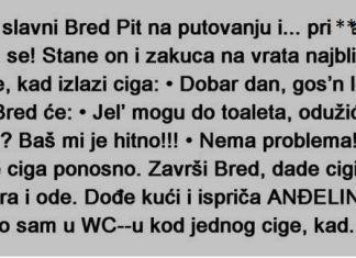VIC DANA: Bio Bred Pit na putu