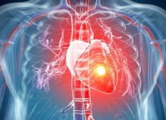 Vodeći kardiolog naveo znake koji ukazuju da treba obavezno da odete i pregledate svoje srce: Ako se ovo dešava, to nije dobro Vodeći kardiolog naveo znake koji ukazuju da treba obavezno da odete i pregledate svoje srce: Ako se ovo dešava, to nije dobro - featured image