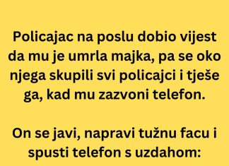 VIC DANA: Policajac na poslu