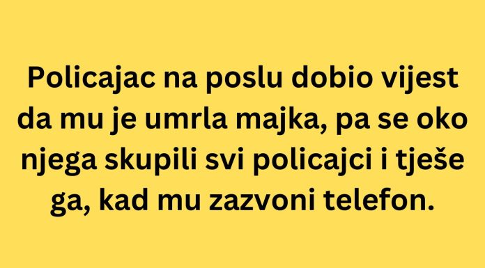 VIC DANA: Policajac na poslu