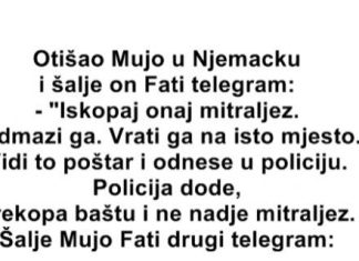 VIC DANA: Otišao Mujo u Njemačku