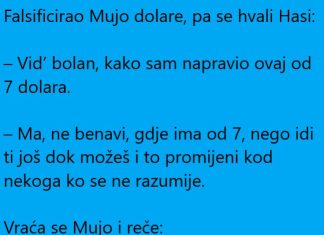 VIC DANA: Mujo i lažni dolari