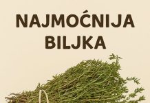 RECEPT ZA PRIRODNO LJEKOVITO ULJE: Prirodni saveznik protiv infekcija RECEPT ZA PRIRODNO LJEKOVITO ULJE: Prirodni saveznik protiv infekcija - featured image