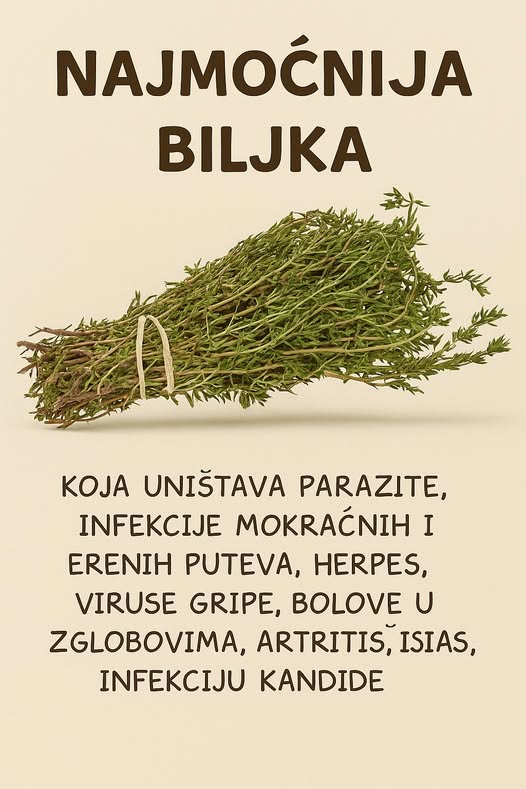 RECEPT ZA PRIRODNO LJEKOVITO ULJE: Prirodni saveznik protiv infekcija - featured image RECEPT ZA PRIRODNO LJEKOVITO ULJE: Prirodni saveznik protiv infekcija - featured image