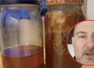 Pčelar pokazao gdje u kući treba čuvati med: VEĆINA LJUDI TO RADI POGREŠNO! Pčelar pokazao gdje u kući treba čuvati med: VEĆINA LJUDI TO RADI POGREŠNO! - featured image