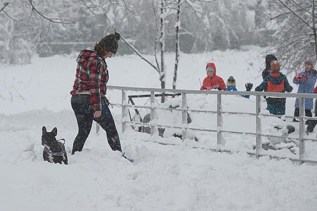 Šta znači kad sneg padne u oktobru: Ako nas iznenadi kad mu vreme nije, naši stari su verovali da će nam se ovo desiti - featured image