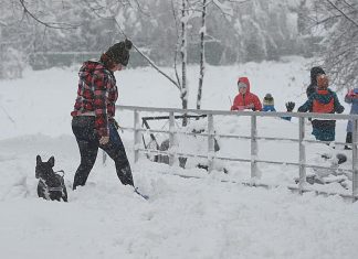 Šta znači kad sneg padne u oktobru: Ako nas iznenadi kad mu vreme nije, naši stari su verovali da će nam se ovo desiti Šta znači kad sneg padne u oktobru: Ako nas iznenadi kad mu vreme nije, naši stari su verovali da će nam se ovo desiti - featured image