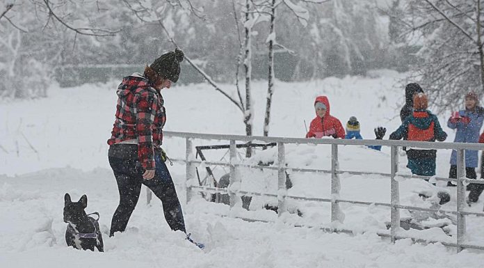 Šta znači kad sneg padne u oktobru: Ako nas iznenadi kad mu vreme nije, naši stari su verovali da će nam se ovo desiti Šta znači kad sneg padne u oktobru: Ako nas iznenadi kad mu vreme nije, naši stari su verovali da će nam se ovo desiti - featured image