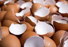 NIKAKO NE BACAJTE LJUSKE OD JAJA, POSLUŽIĆE VAM ZA VAŽNU STVAR: NE POSTOJI BOLJE ĐUBRIVO ZA BILJKE, ODUŠEVIĆETE SE NIKAKO NE BACAJTE LJUSKE OD JAJA, POSLUŽIĆE VAM ZA VAŽNU STVAR: NE POSTOJI BOLJE ĐUBRIVO ZA BILJKE, ODUŠEVIĆETE SE - featured image