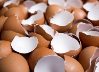 NIKAKO NE BACAJTE LJUSKE OD JAJA, POSLUŽIĆE VAM ZA VAŽNU STVAR: NE POSTOJI BOLJE ĐUBRIVO ZA BILJKE, ODUŠEVIĆETE SE NIKAKO NE BACAJTE LJUSKE OD JAJA, POSLUŽIĆE VAM ZA VAŽNU STVAR: NE POSTOJI BOLJE ĐUBRIVO ZA BILJKE, ODUŠEVIĆETE SE - featured image