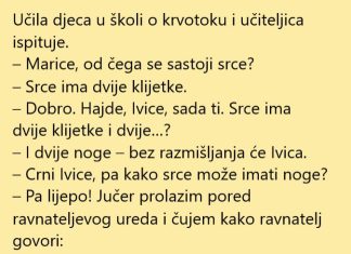 VIC DANA: Od čega se sastoji srce