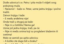 VIC DANA: Udovica kod sv. Petra