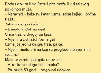 VIC DANA: Udovica kod sv. Petra