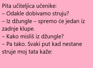 VIC DANA: Odakle nam dolazi struja?