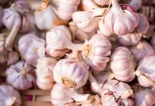 Otkrijte šta se dešava u tijelu kada svakog dana jedete bijeli luk – efekti će vas iznenaditi Otkrijte šta se dešava u tijelu kada svakog dana jedete bijeli luk – efekti će vas iznenaditi - featured image