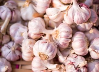 Otkrijte šta se dešava u tijelu kada svakog dana jedete bijeli luk – efekti će vas iznenaditi Otkrijte šta se dešava u tijelu kada svakog dana jedete bijeli luk – efekti će vas iznenaditi - featured image