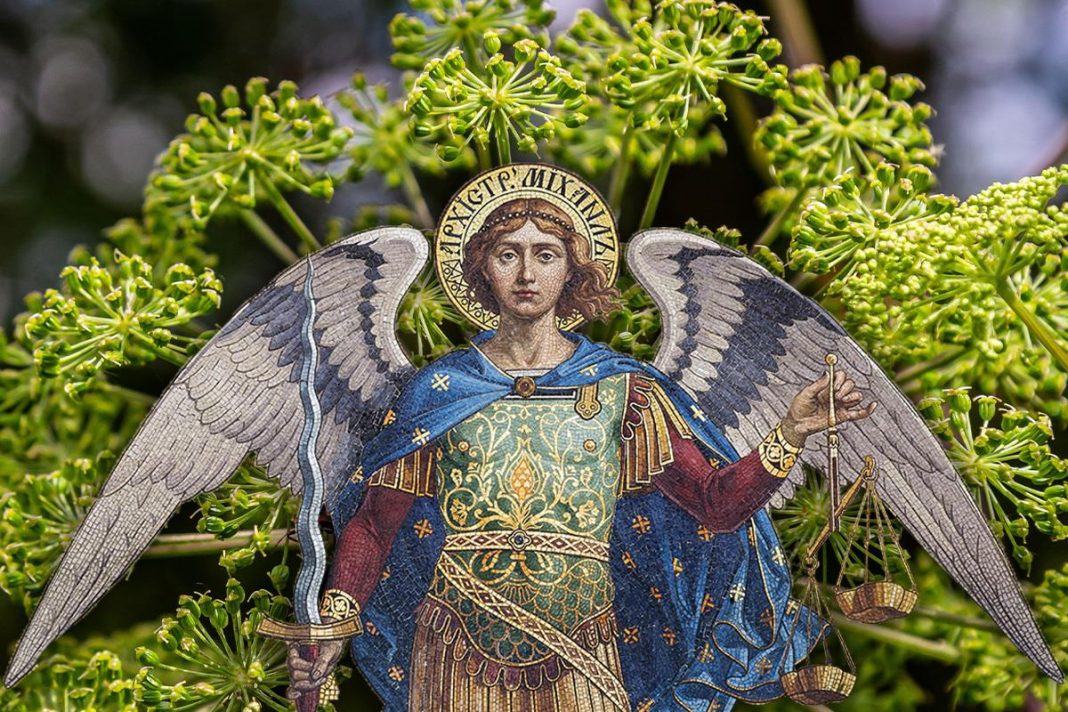 Ovu biljku otkrio je Sveti Arhangel Mihailo: Zovu je anđeoskom, veruje se da leči mnoge zdravstvene probleme, a njima se ne preporučuje - featured image