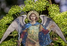 Ovu biljku otkrio je Sveti Arhangel Mihailo: Zovu je anđeoskom, veruje se da leči mnoge zdravstvene probleme, a njima se ne preporučuje Ovu biljku otkrio je Sveti Arhangel Mihailo: Zovu je anđeoskom, veruje se da leči mnoge zdravstvene probleme, a njima se ne preporučuje - featured image